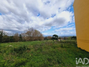 Terreno para Venda em Santa Comba Dão e Couto do Mosteiro