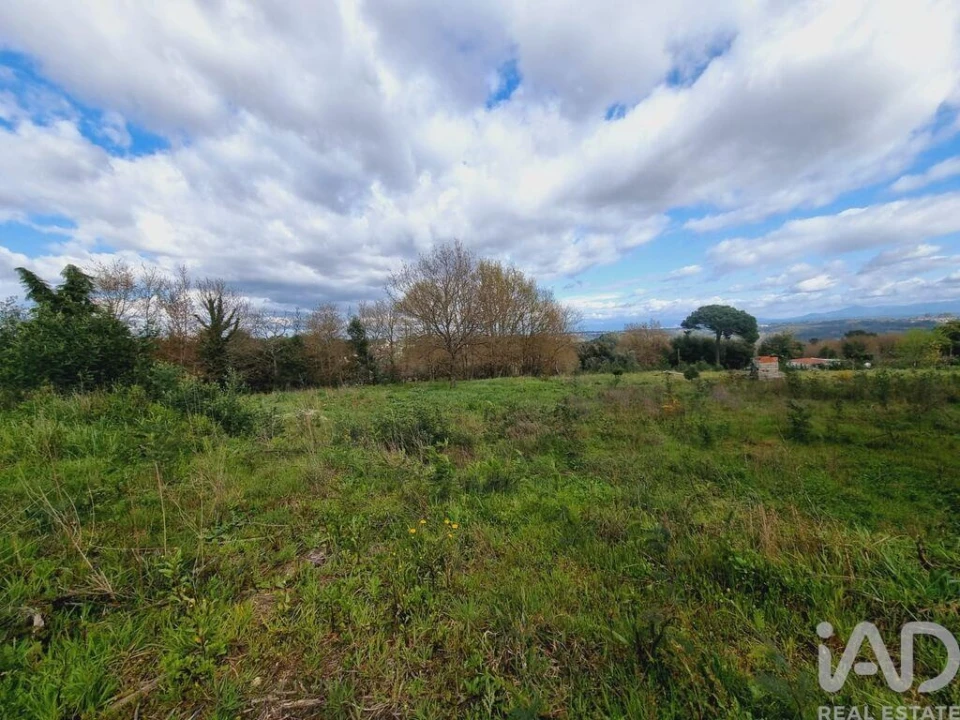 Terreno para Venda em Santa Comba Dão e Couto do Mosteiro Foto 3