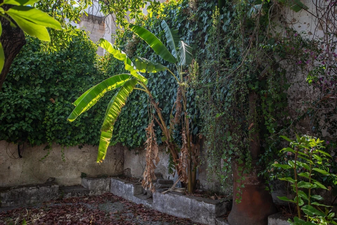 Moradia T8 para Venda em Évora (São Mamede, Sé, São Pedro e Santo Antão) Foto 74