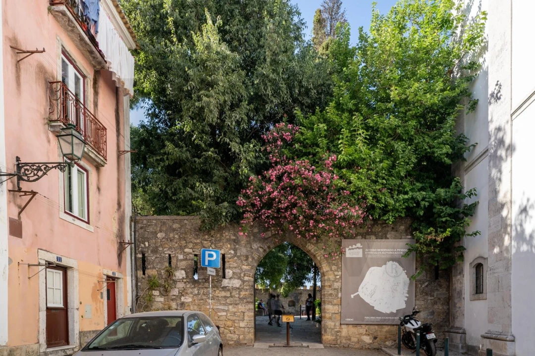 Prédio para Venda em Santa Maria Maior Foto 11