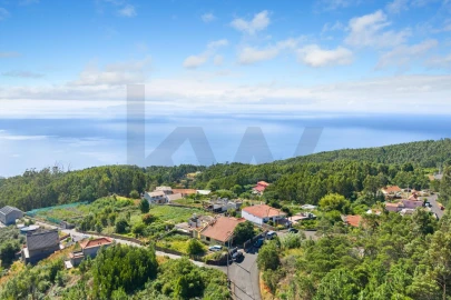 Moradia T3 para Venda em Santa Cruz