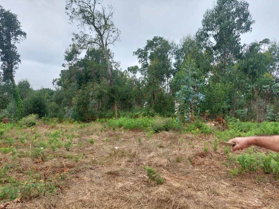 Terreno para Venda em Santa Maria da Feira, Travanca, Sanfins e Espargo Foto 8