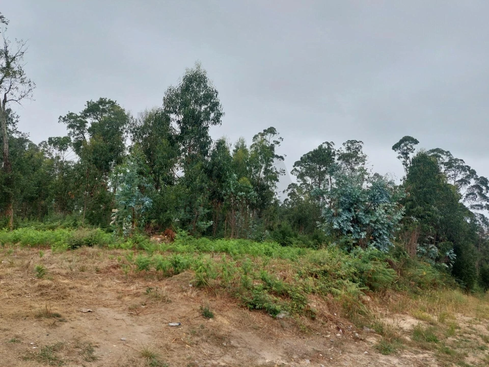 Terreno para Venda em Santa Maria da Feira, Travanca, Sanfins e Espargo Foto 9