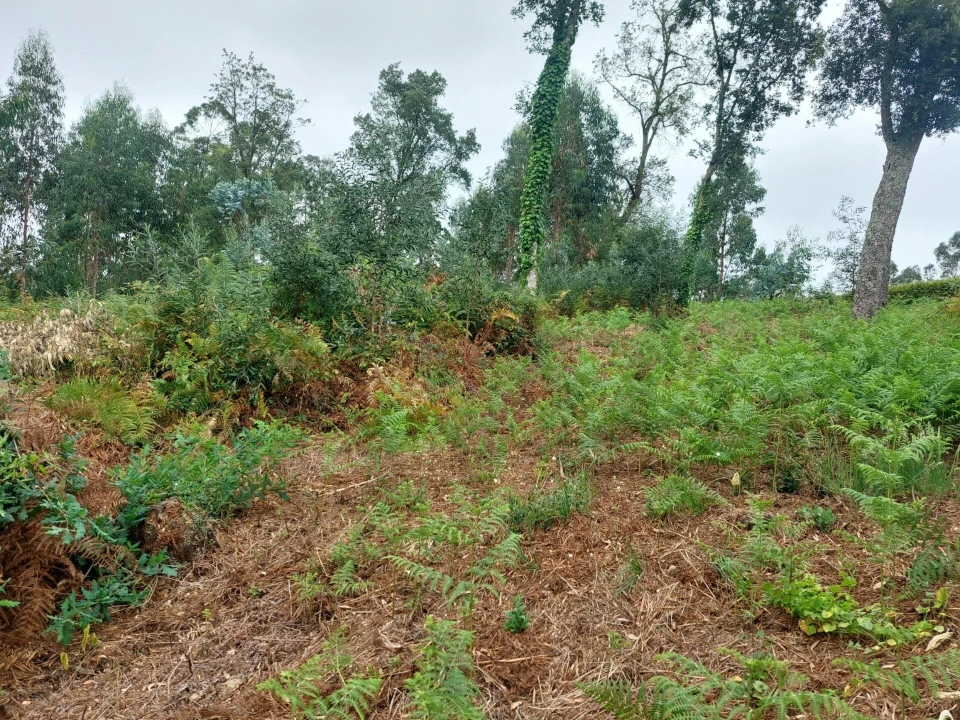 Terreno para Venda em Santa Maria da Feira, Travanca, Sanfins e Espargo Foto 15