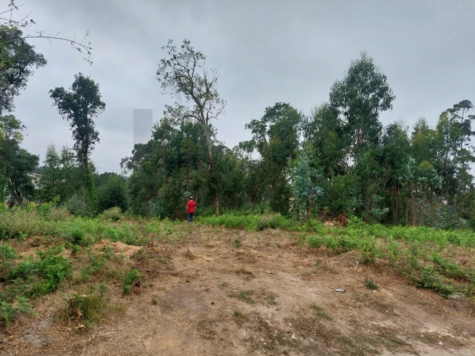 Terreno para Venda em Santa Maria da Feira, Travanca, Sanfins e Espargo Foto 10