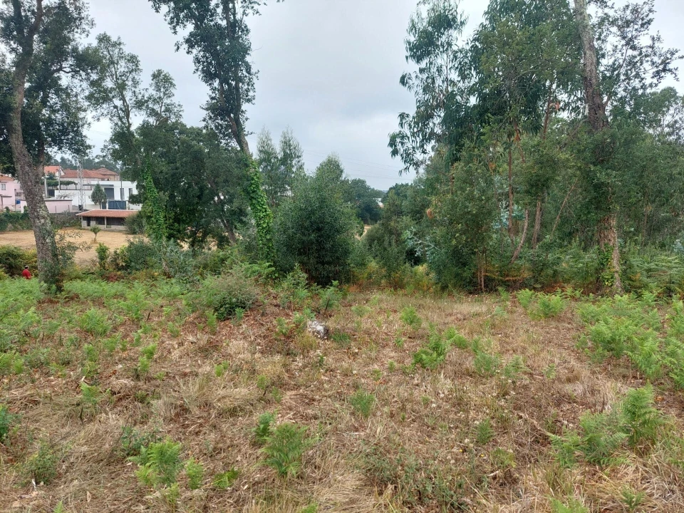 Terreno para Venda em Santa Maria da Feira, Travanca, Sanfins e Espargo Foto 12