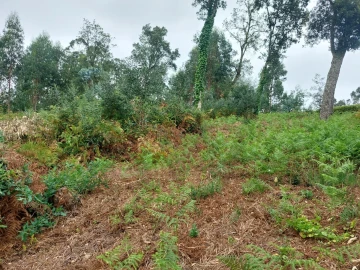 Terreno para Venda em Santa Maria da Feira, Travanca, Sanfins e Espargo