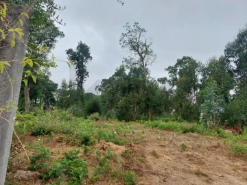 Terreno para Venda em Santa Maria da Feira, Travanca, Sanfins e Espargo