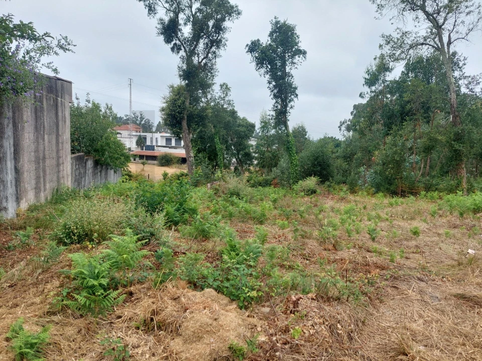 Terreno para Venda em Santa Maria da Feira, Travanca, Sanfins e Espargo Foto 6