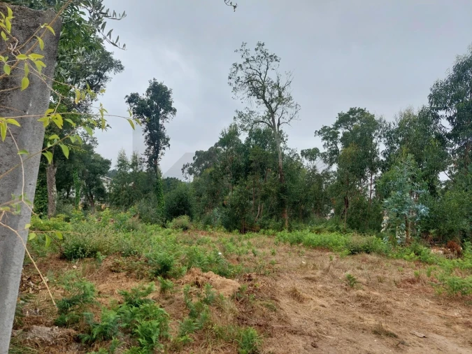 Terreno para Venda em Santa Maria da Feira, Travanca, Sanfins e Espargo Foto 4