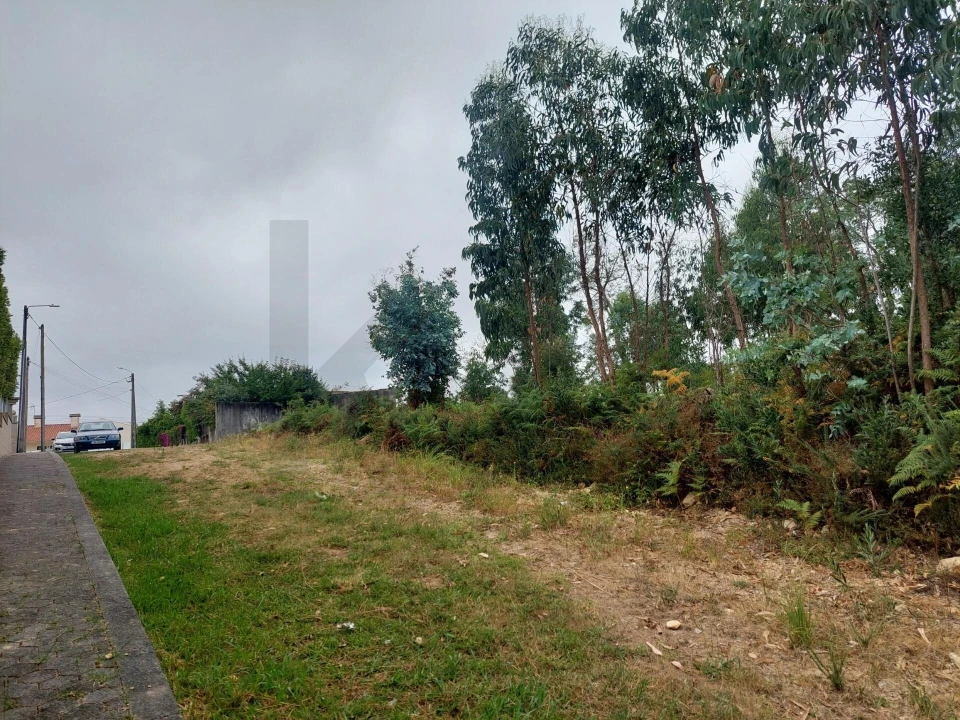 Terreno para Venda em Santa Maria da Feira, Travanca, Sanfins e Espargo Foto 11