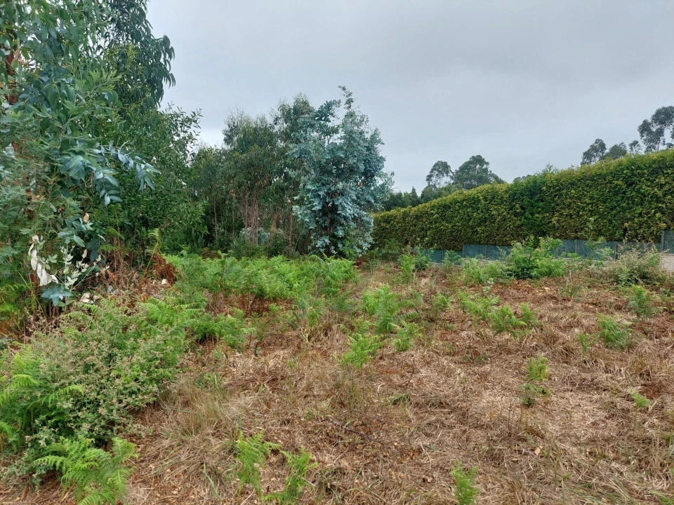 Terreno para Venda em Santa Maria da Feira, Travanca, Sanfins e Espargo Foto 13