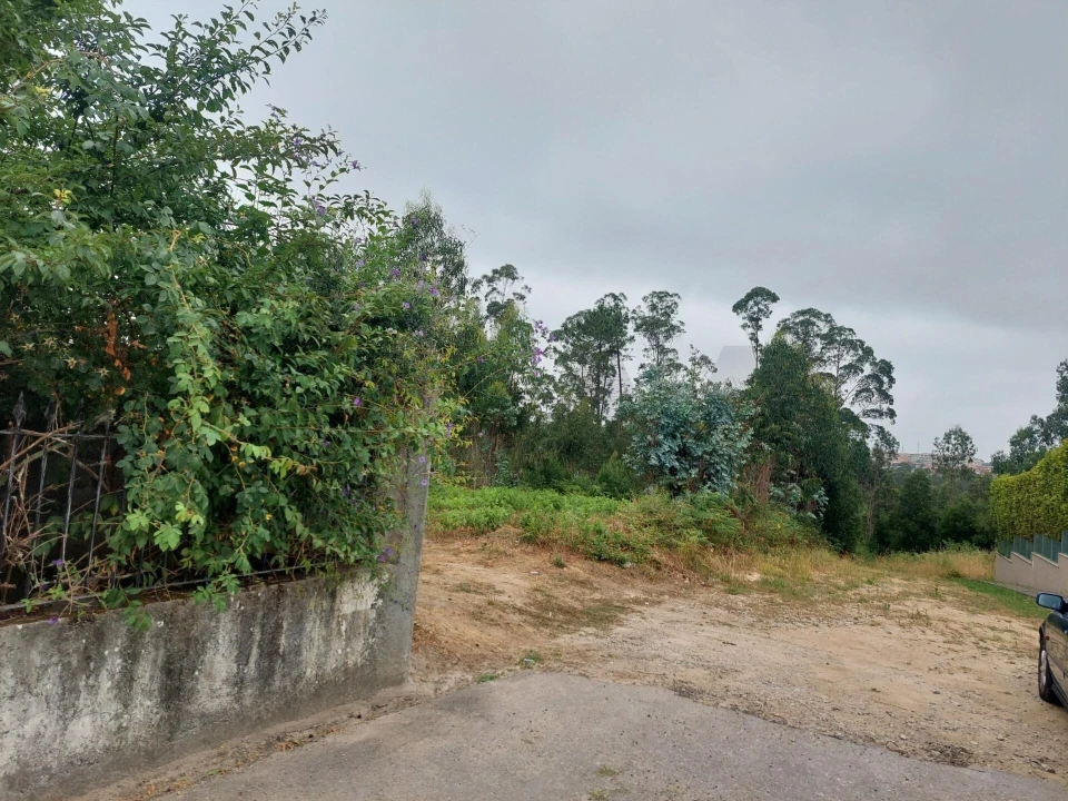 Terreno para Venda em Santa Maria da Feira, Travanca, Sanfins e Espargo Foto 3