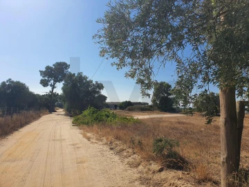 Terreno para Venda em Atalaia e Alto Estanqueiro-Jardia