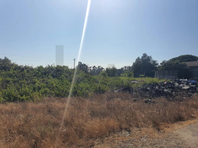 Terreno para Venda em Atalaia e Alto Estanqueiro-Jardia Foto 15