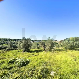 Apartamento T4 para Venda em Sacavém e Prior Velho