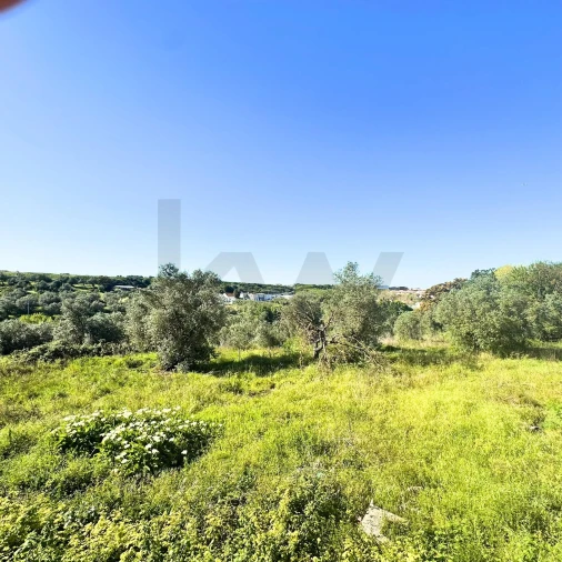 Apartamento T4 para Venda em Sacavém e Prior Velho Foto 11