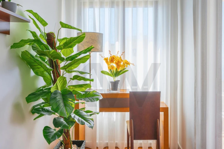 Apartamento T1 para Venda em Caniço Foto 16