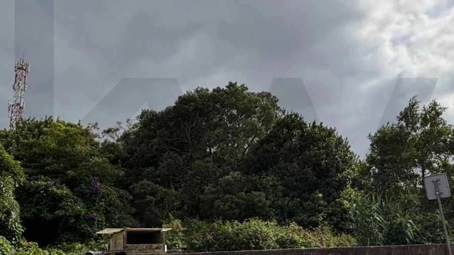 Terreno para Venda em Rosto do Cão (Livramento)