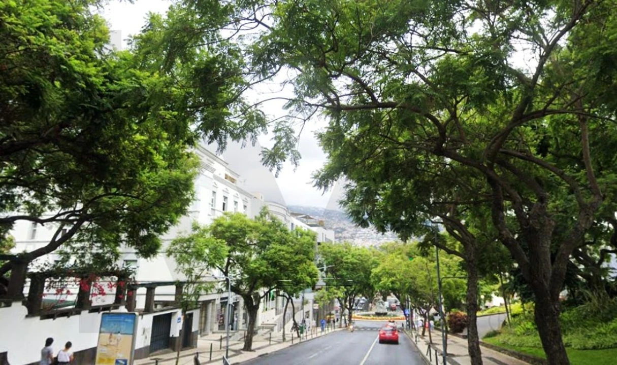 Negócio para Venda em Funchal (Se) Foto 2