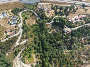 Terreno Agricola ou Rústico para Venda em Gondar