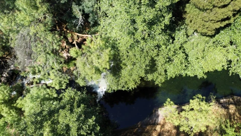 Terreno Agricola ou Rústico para Venda em Gondar