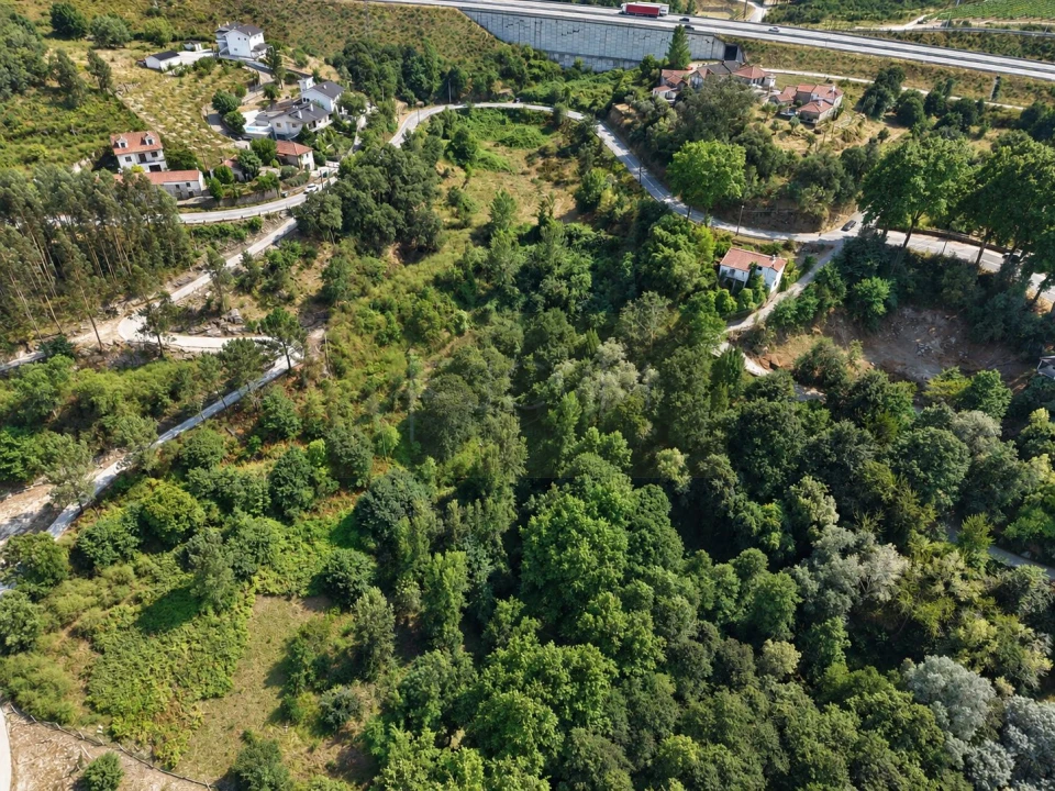 Terreno Agricola ou Rústico para Venda em Gondar Foto 6