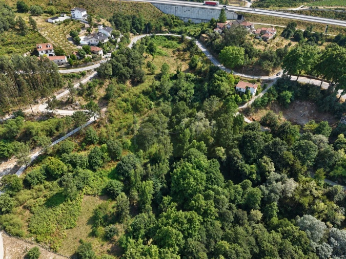 Terreno Agricola ou Rústico para Venda em Gondar Foto 6