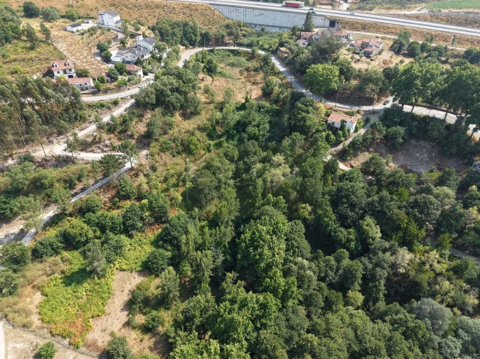Terreno Agricola ou Rústico para Venda em Gondar Foto 8