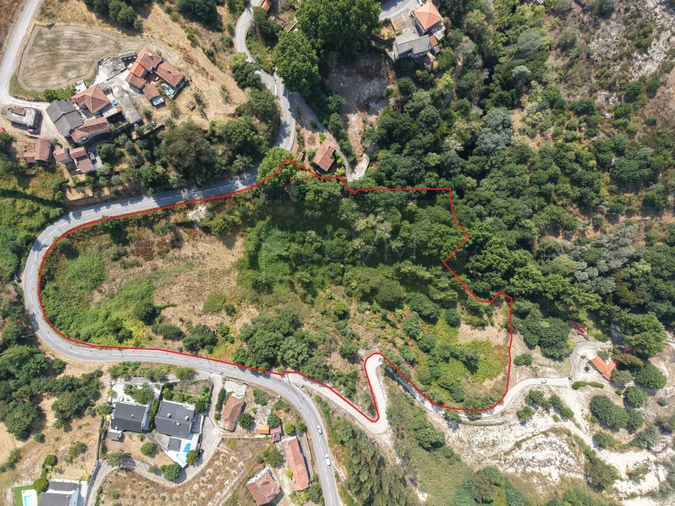 Terreno Agricola ou Rústico para Venda em Gondar Foto 5