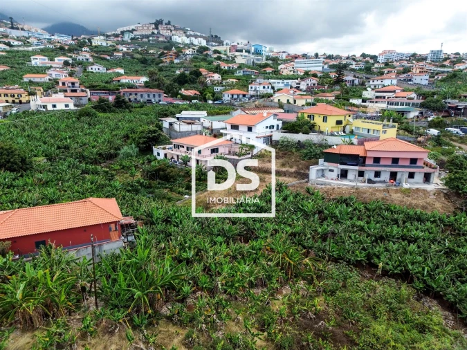 Terreno para Venda em São Martinho Foto 8