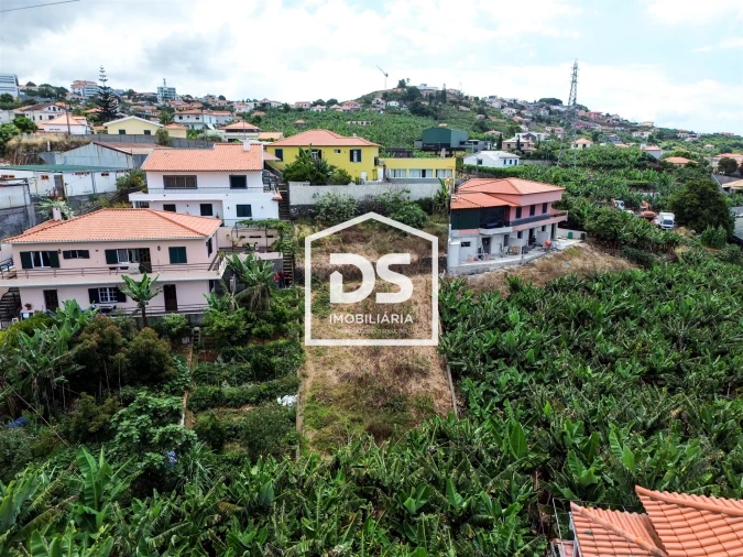 Terreno para Venda em São Martinho Foto 6