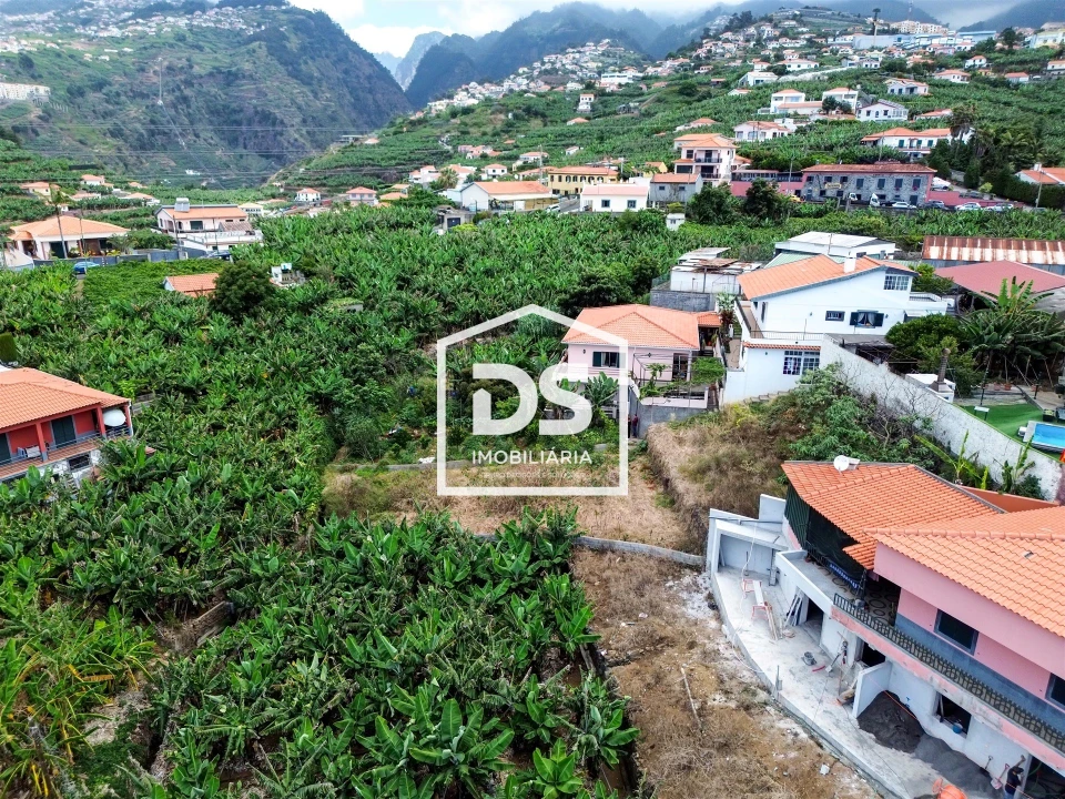 Terreno para Venda em São Martinho Foto 7