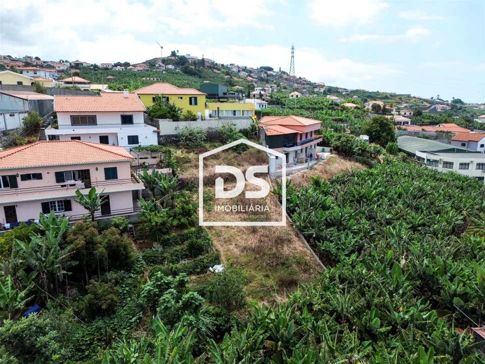 Terreno para Venda em São Martinho Foto 5