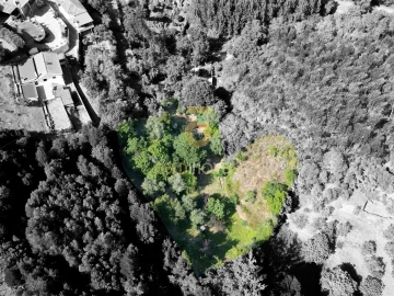 Terreno Agricola ou Rústico para Venda em Raiva, Pedorido e Paraíso