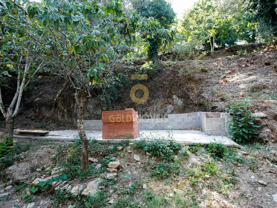 Terreno Agricola ou Rústico para Venda em Raiva, Pedorido e Paraíso Foto 5