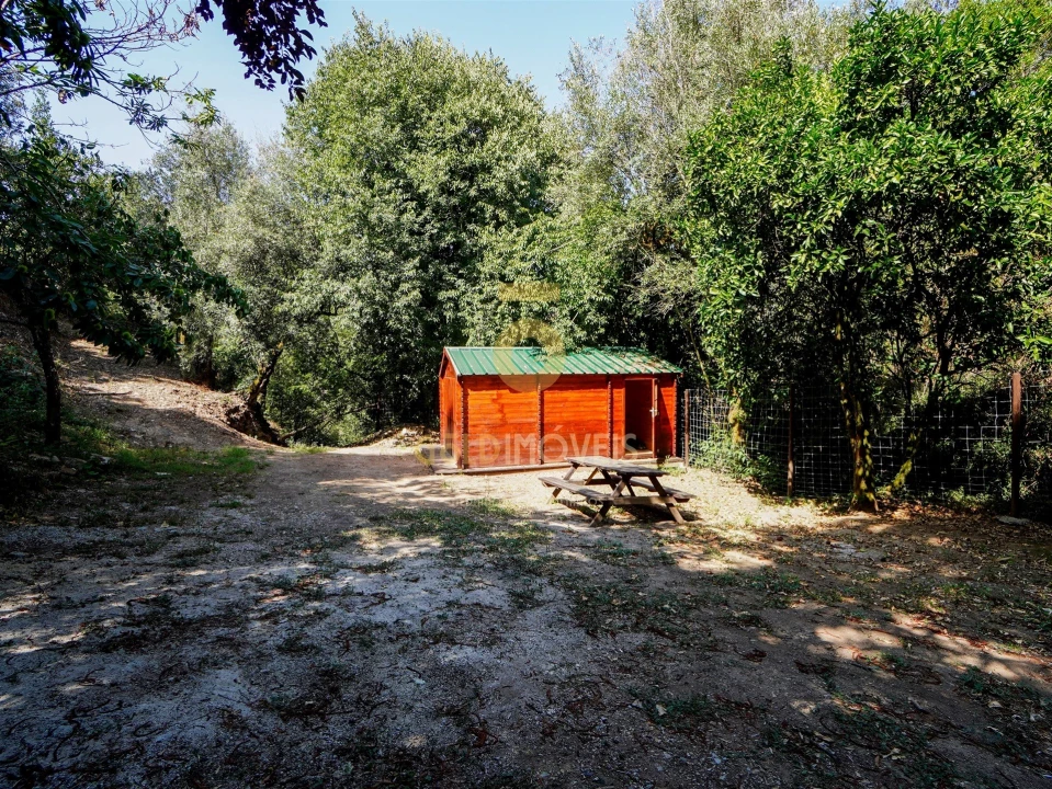 Terreno Agricola ou Rústico para Venda em Raiva, Pedorido e Paraíso Foto 1