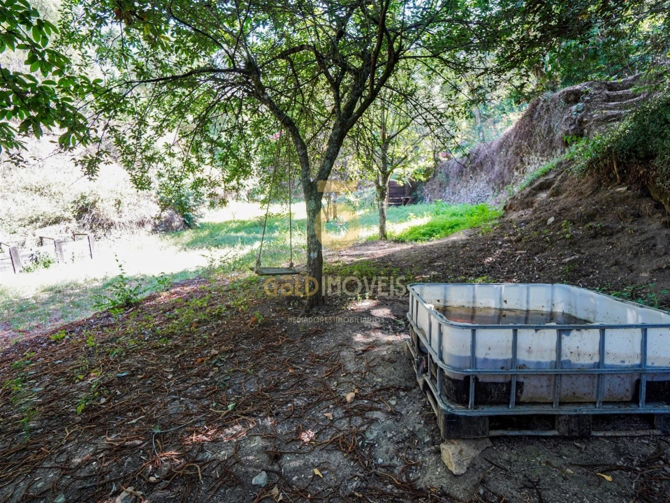 Terreno Agricola ou Rústico para Venda em Raiva, Pedorido e Paraíso Foto 7