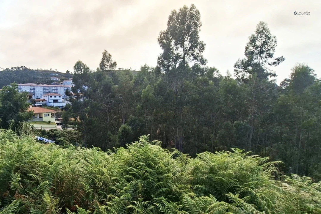 Terreno Agricola ou Rústico para Venda em Lustosa e Barrosas (Santo Estêvão) Foto 5