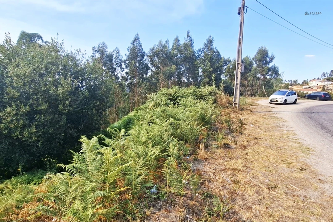 Terreno Agricola ou Rústico para Venda em Lustosa e Barrosas (Santo Estêvão) Foto 12