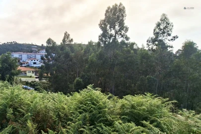 Terreno Agricola ou Rústico para Venda em Lustosa e Barrosas (Santo Estêvão)