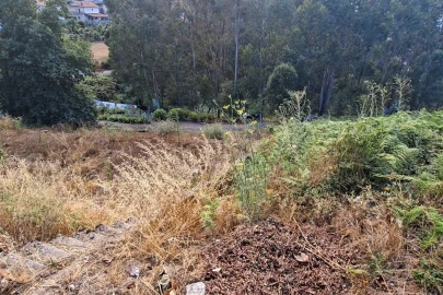 Terreno Agricola ou Rústico para Venda em Lustosa e Barrosas (Santo Estêvão)