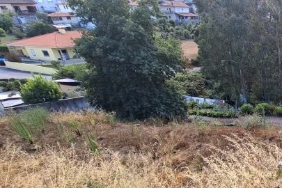 Terreno Agricola ou Rústico para Venda em Lustosa e Barrosas (Santo Estêvão)