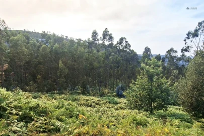Terreno Agricola ou Rústico para Venda em Lustosa e Barrosas (Santo Estêvão)