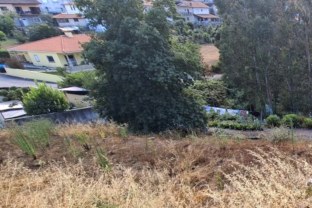 Terreno Agricola ou Rústico para Venda em Lustosa e Barrosas (Santo Estêvão) Foto 9