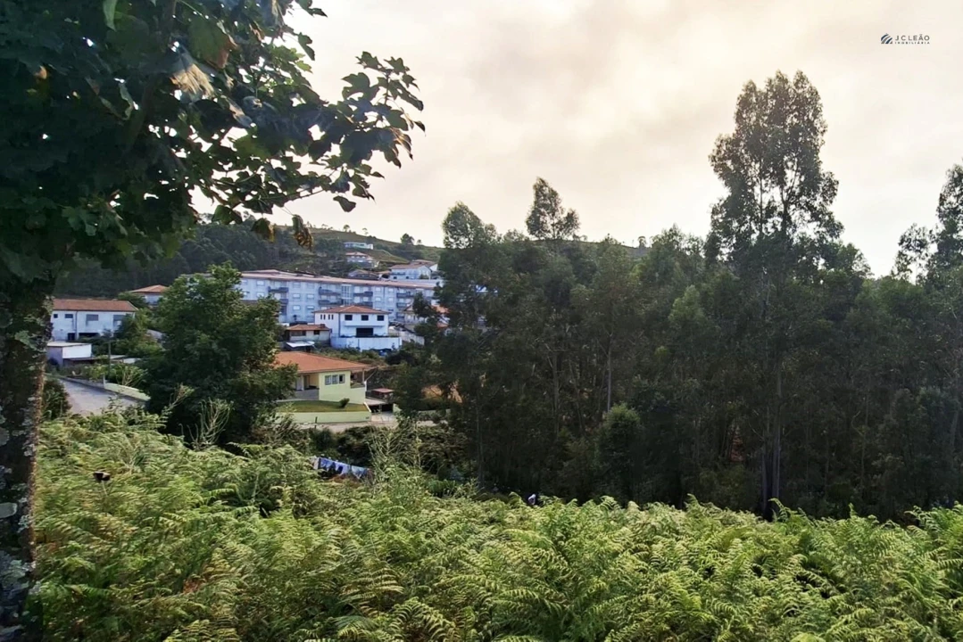Terreno Agricola ou Rústico para Venda em Lustosa e Barrosas (Santo Estêvão) Foto 11