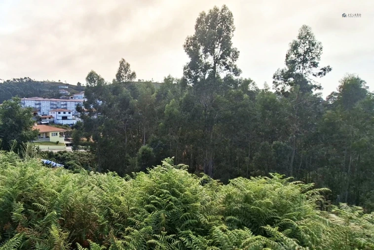 Terreno Agricola ou Rústico para Venda em Lustosa e Barrosas (Santo Estêvão) Foto 5
