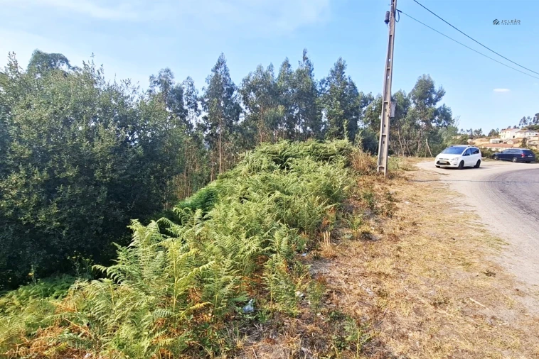 Terreno Agricola ou Rústico para Venda em Lustosa e Barrosas (Santo Estêvão) Foto 12
