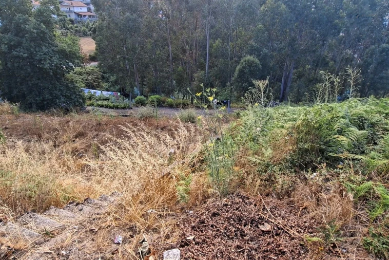 Terreno Agricola ou Rústico para Venda em Lustosa e Barrosas (Santo Estêvão) Foto 8