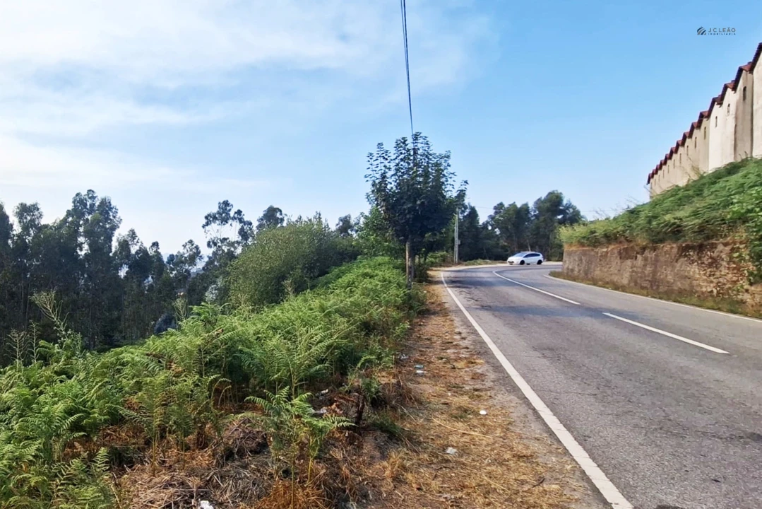Terreno Agricola ou Rústico para Venda em Lustosa e Barrosas (Santo Estêvão) Foto 1